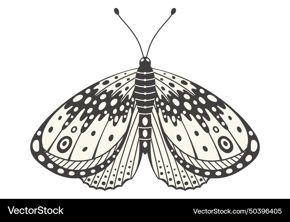 Moth or butterfly y2k style aesthetic wing Moth or butterfly y2k style aesthetic wing vector image