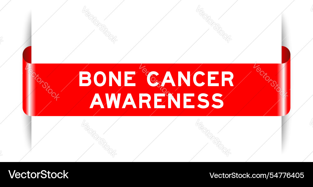 Red color inserted label banner with word bone Vector Image