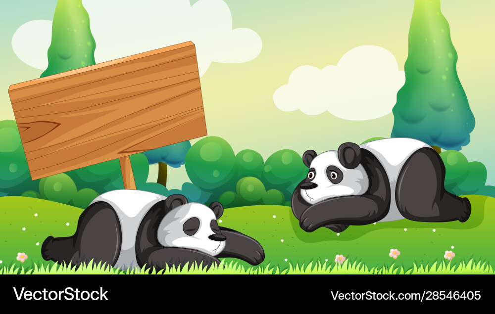 Scene with two pandas in park Scene with two pandas in park vector image