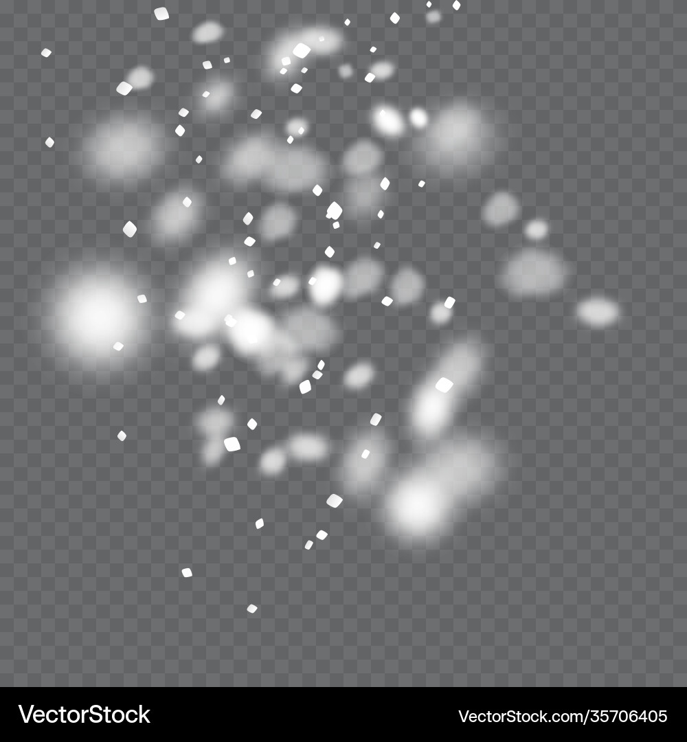 Snowfall snowflakes in different shapes and forms Snowfall snowflakes in different shapes and forms vector image