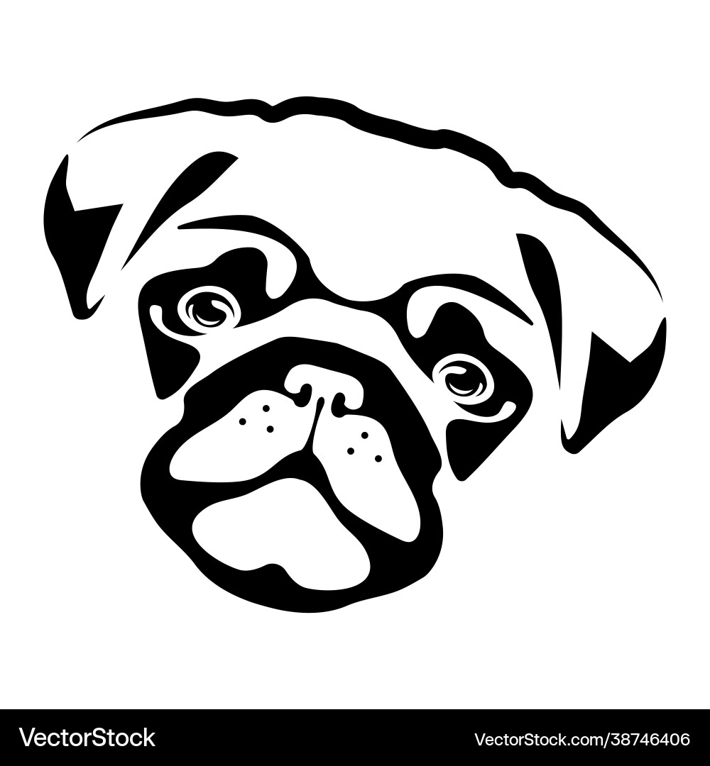 Black Pug Head Silhouette Vector Image