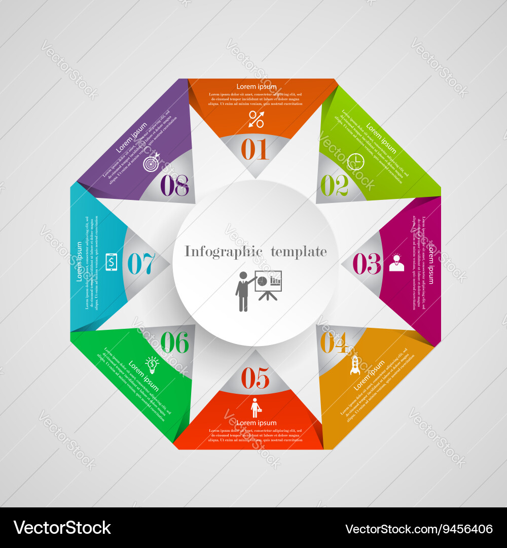 Infographic circle triangle flowchart template vector image