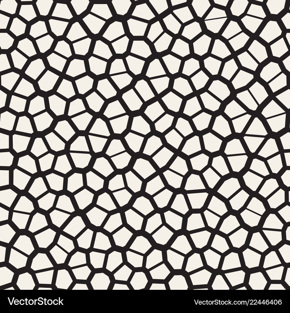 Irregular Mosaic Pattern vector image