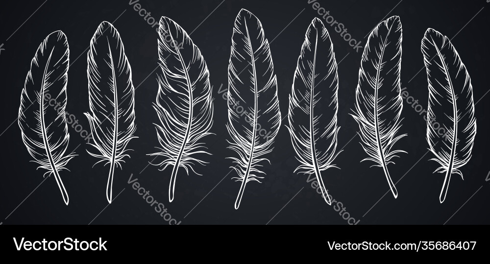 Sketch Federn an Bord Sketch Federn an Bord vektorbild