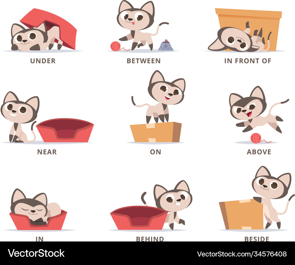 Preschool Prepositions: Cute Kitty & Box Vector Image