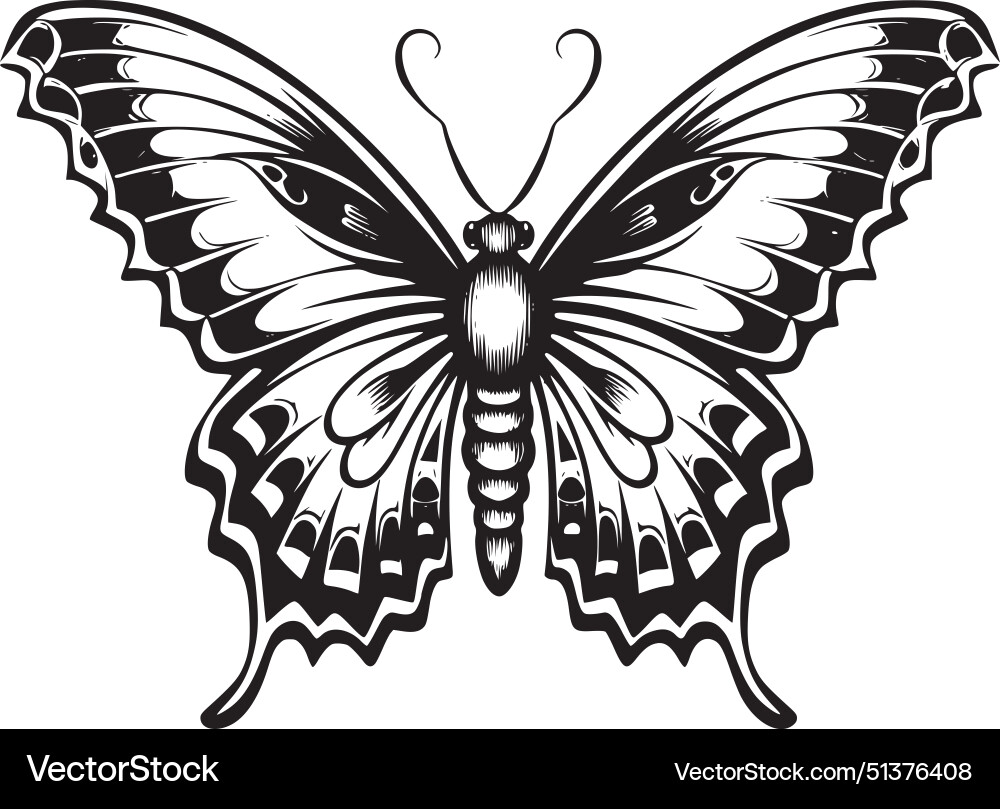 Schmetterling - hochwertiges Logo ideal für T-Shirt Schmetterling - hochwertiges Logo ideal für T-Shirt vektorbild