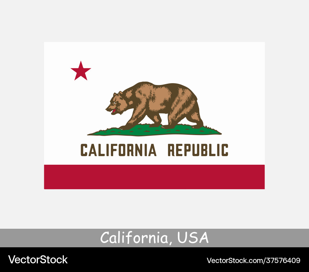 California usa state flag ca vector image