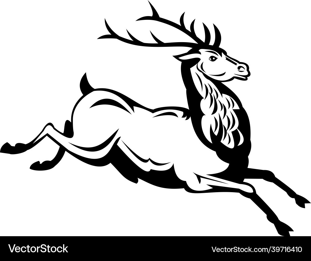 Red deer stag running and jumping side view retro vector image