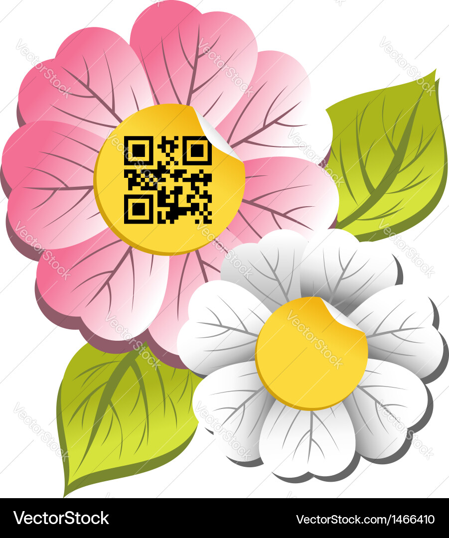 Spring time flower with qr code label Vector Image
