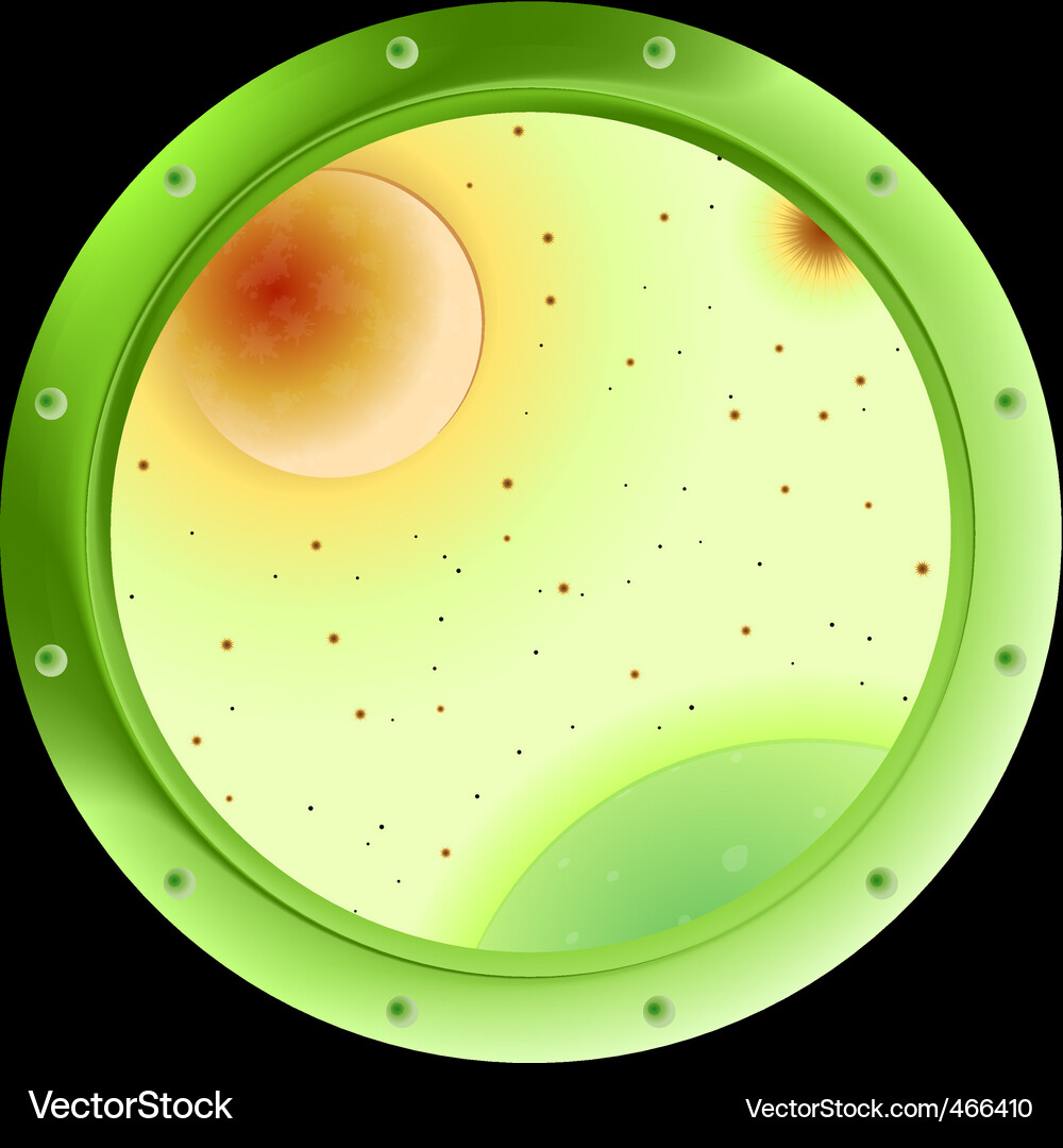 Window with space Vector Image