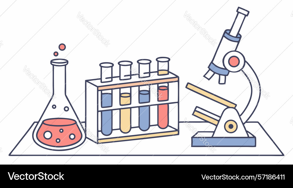 Complete science lab set test tubes flask vector image
