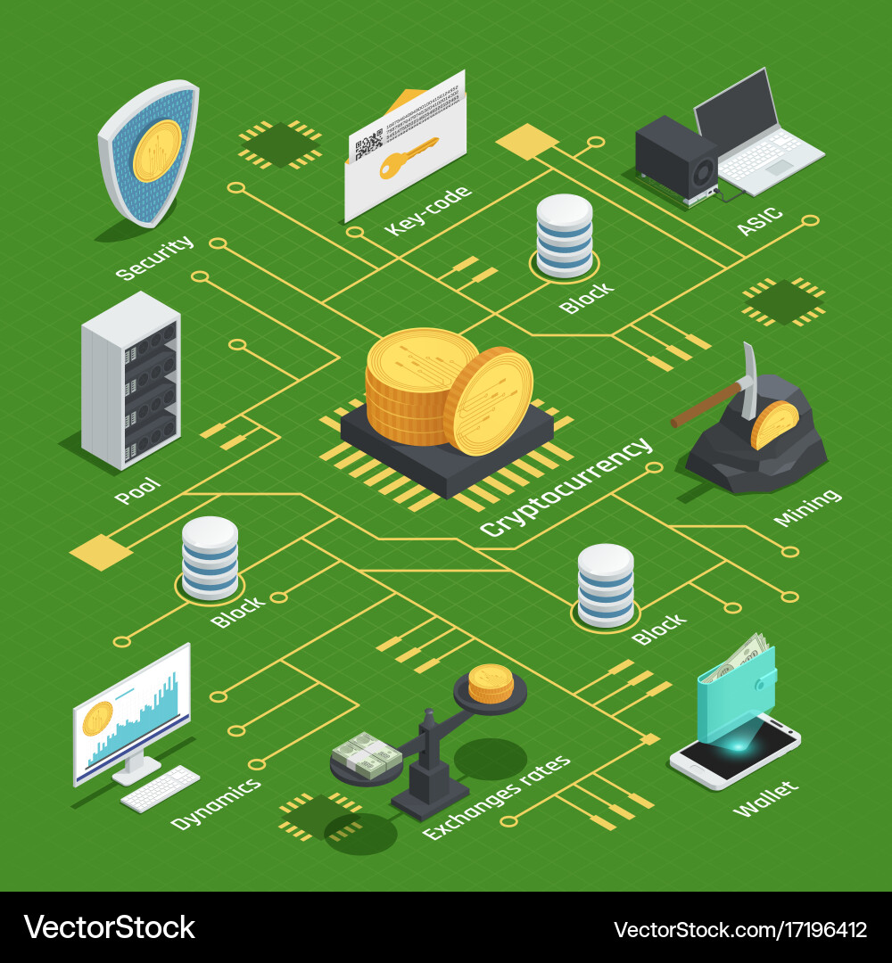 Cryptocurrency Dynamics Flowchart Vector Image