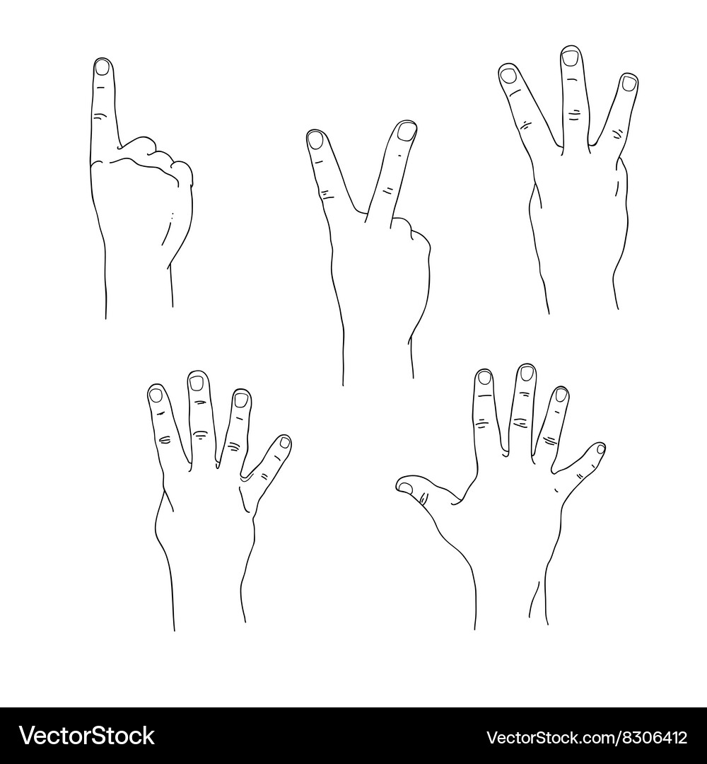 Set of hands counting one to five outer side Vector Image