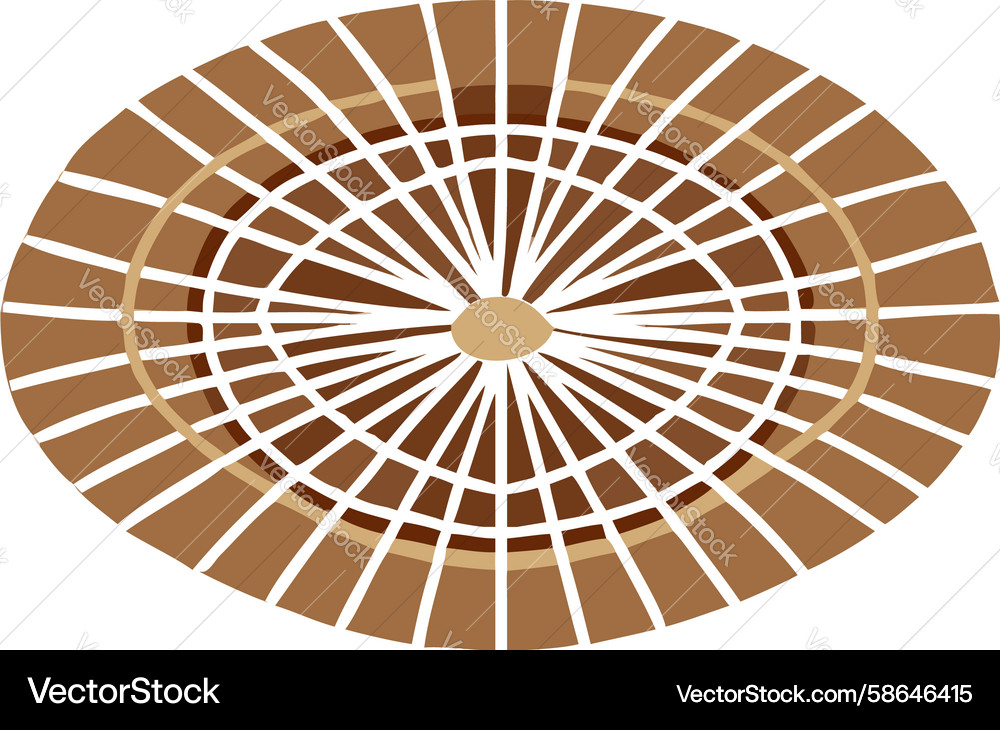 Circular concentric radial pattern abstract Vector Image