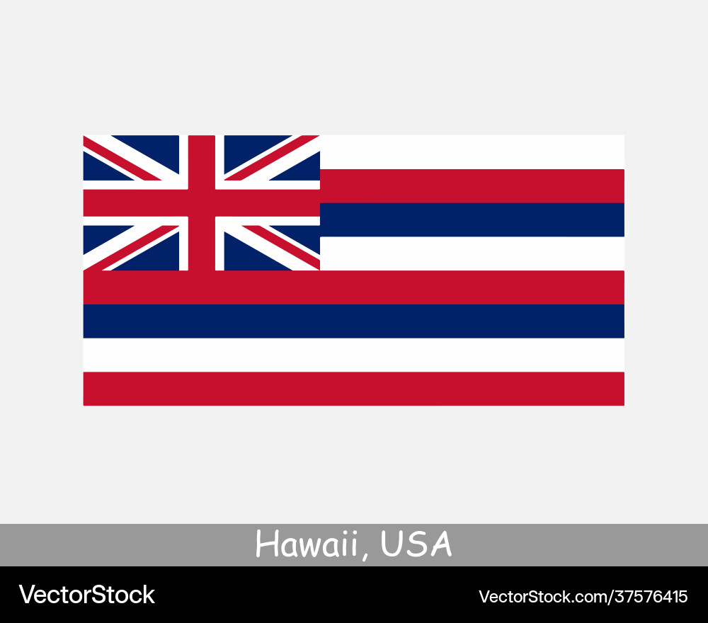 Hawaii State Flag Vector Image