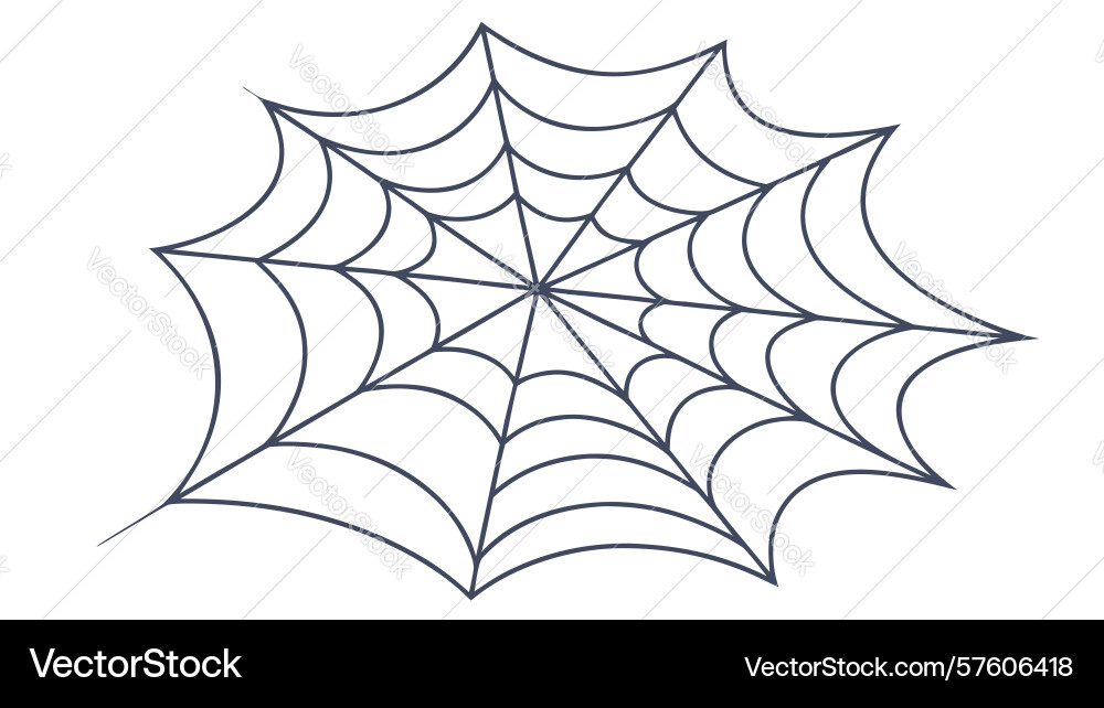 Classic outline spider web design element vector image