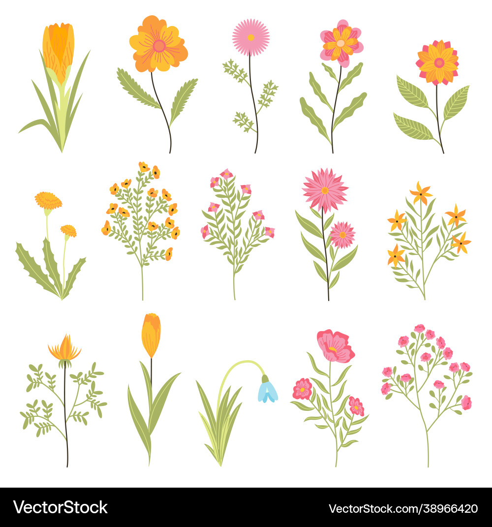 Spring Floral Botanical Set Vector Image