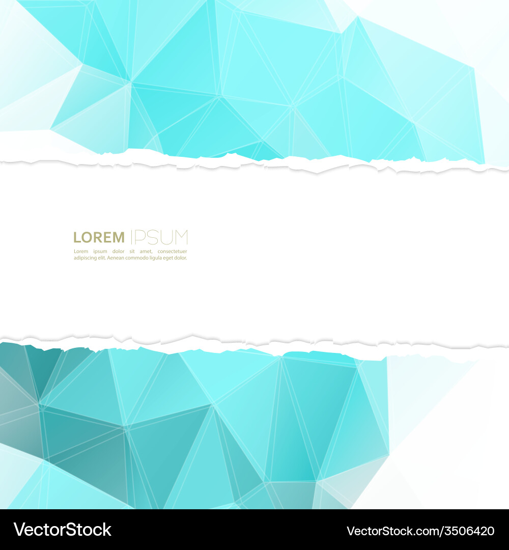 Torn paper with triangles and polygon mesh vector image