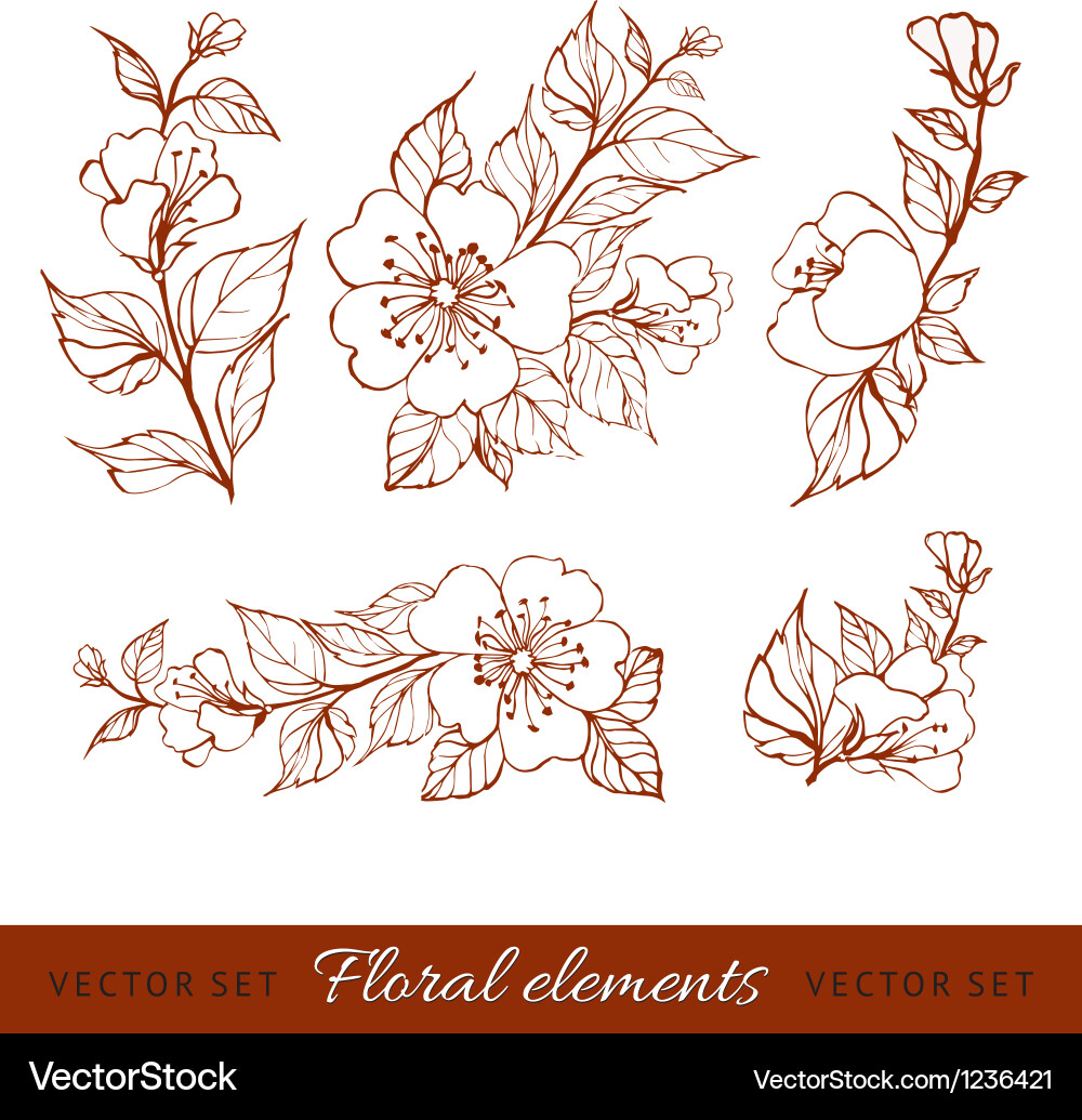 Abstract flower set Royalty Free Vector Image - VectorStock