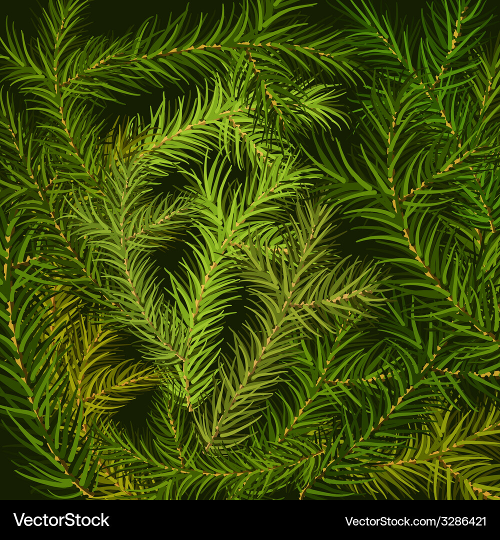 Fir Branch Texture Background Vector Image