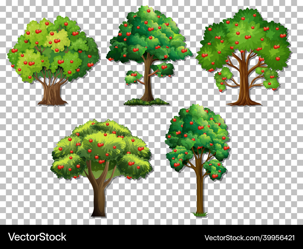 Set of different trees on transparent background vector image