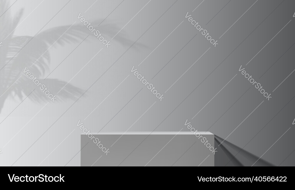 Grayscale studio background with palm branches vector image