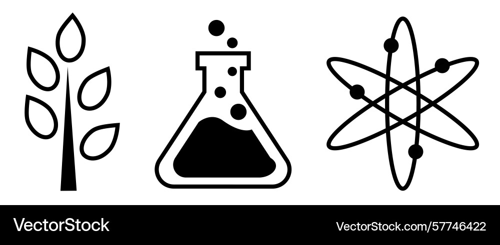 Set of science icons tree branch glass flask vector image
