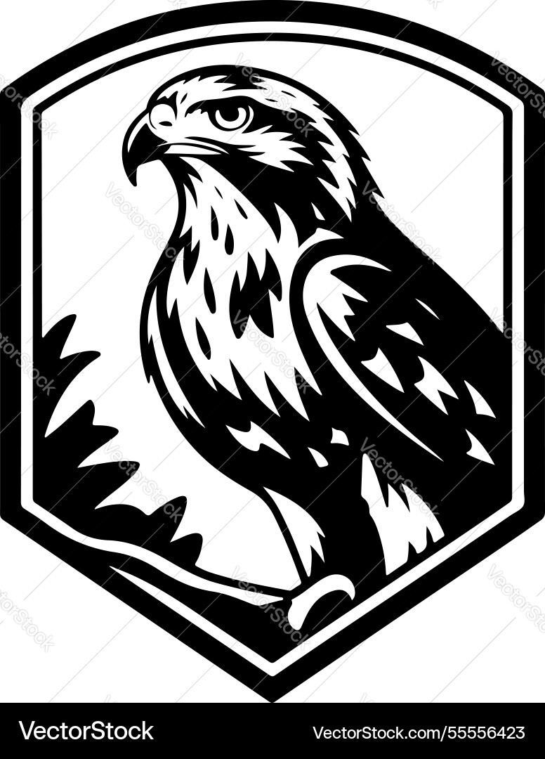 Eagle head sport team or club mascot design Eagle head sport team or club mascot design Vector Image