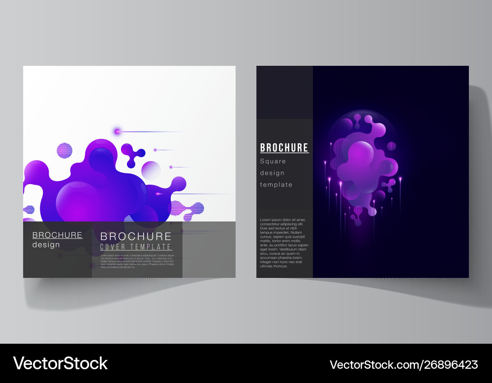 Minimal layout two square format vector image