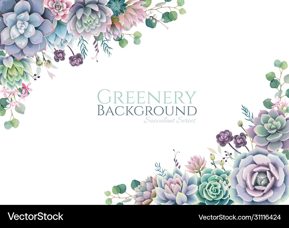 Botanical Succulent Frame – Royalty-Free Vector | VectorStock, image size:1000x789