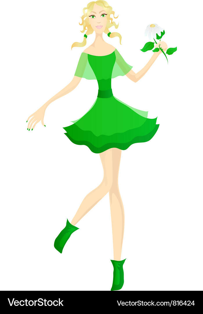Chamomile Vector Image