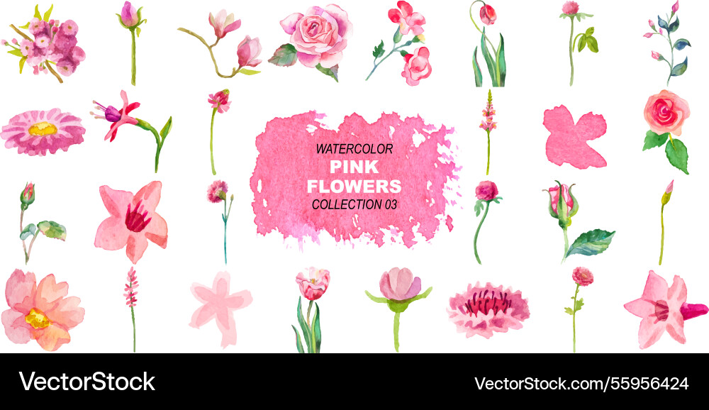 Watercolor painted pink flowers clipart hand Watercolor painted pink flowers clipart hand vector image