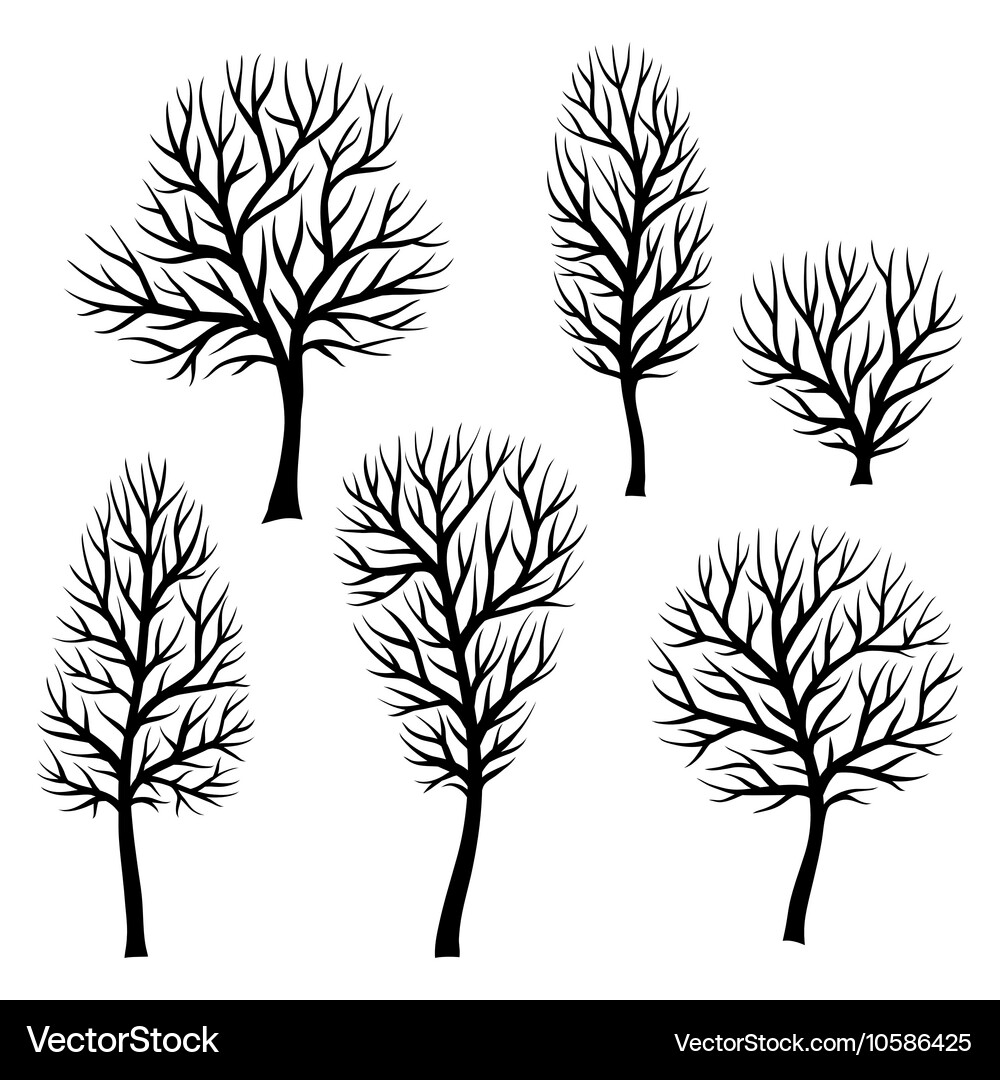 Black Tree Silhouettes Collection Vector Image