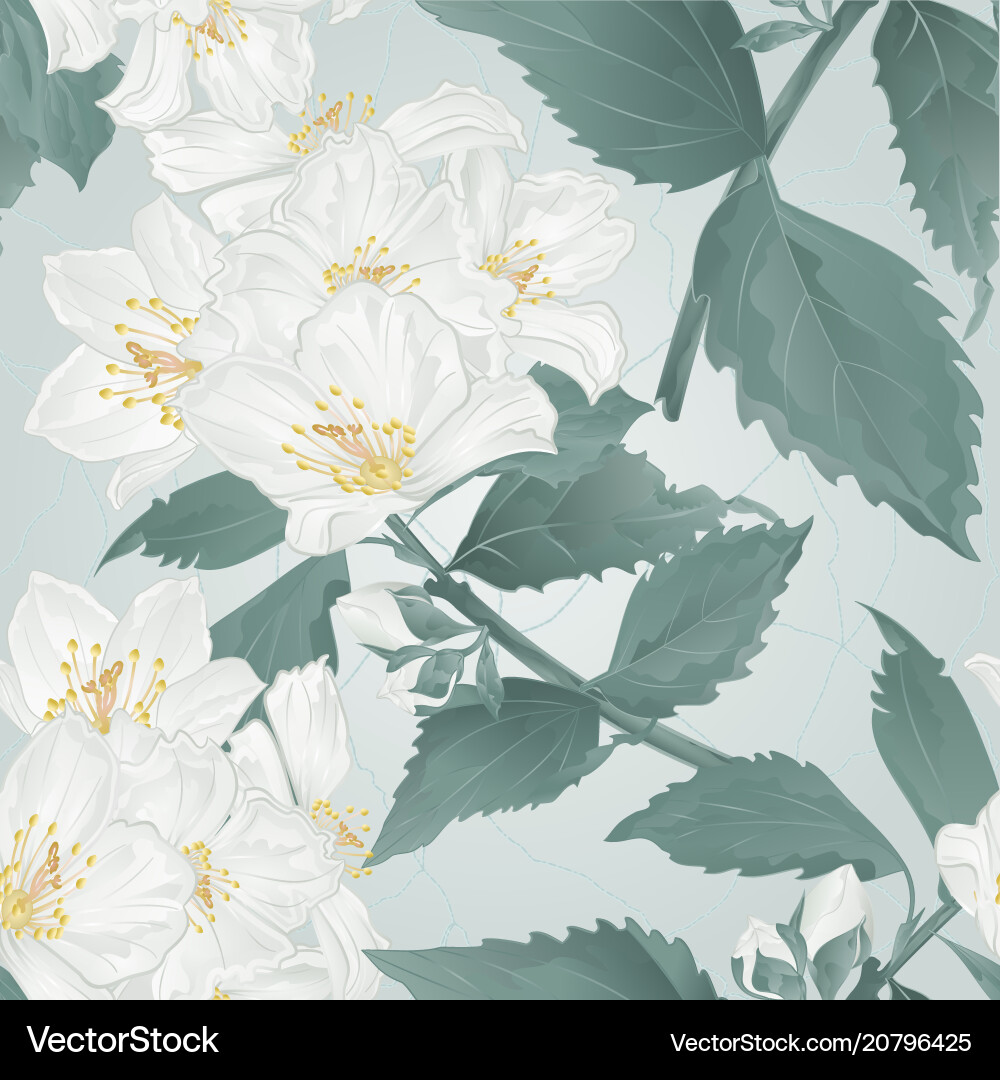 Seamless texture twig spring flower jasmine Seamless texture twig spring flower jasmine vector image
