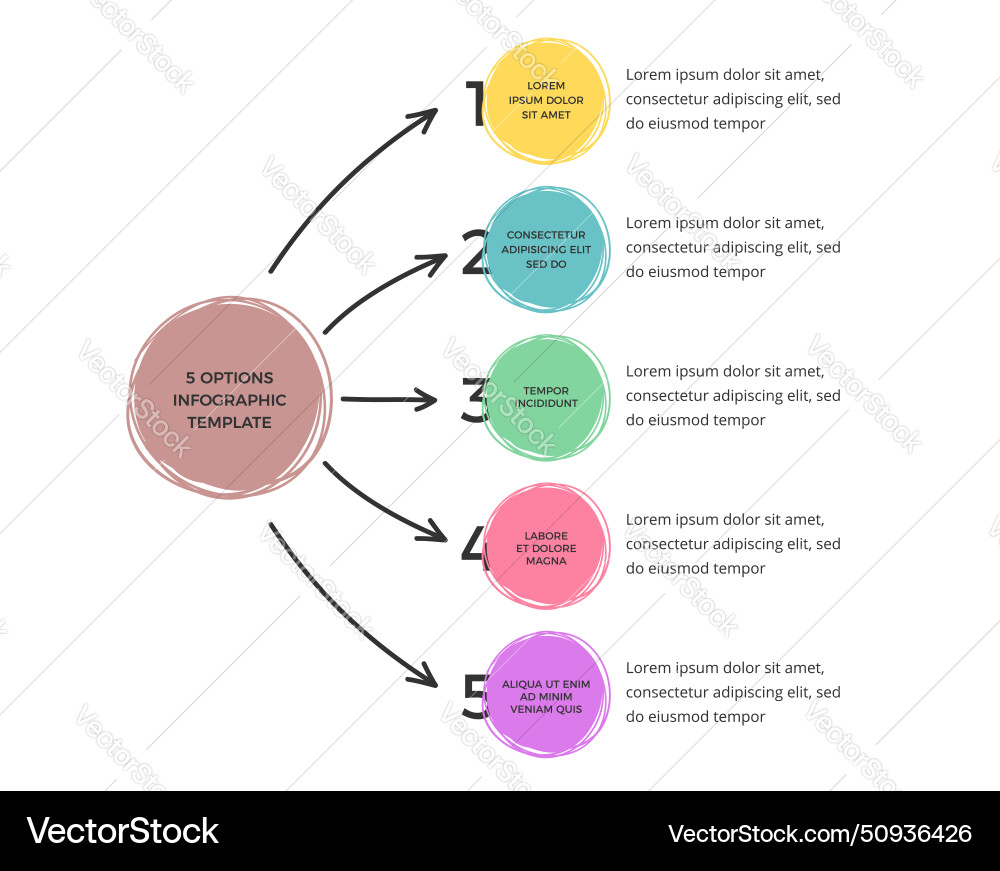 Infographic template with 5 elements Infographic template with 5 elements vector image