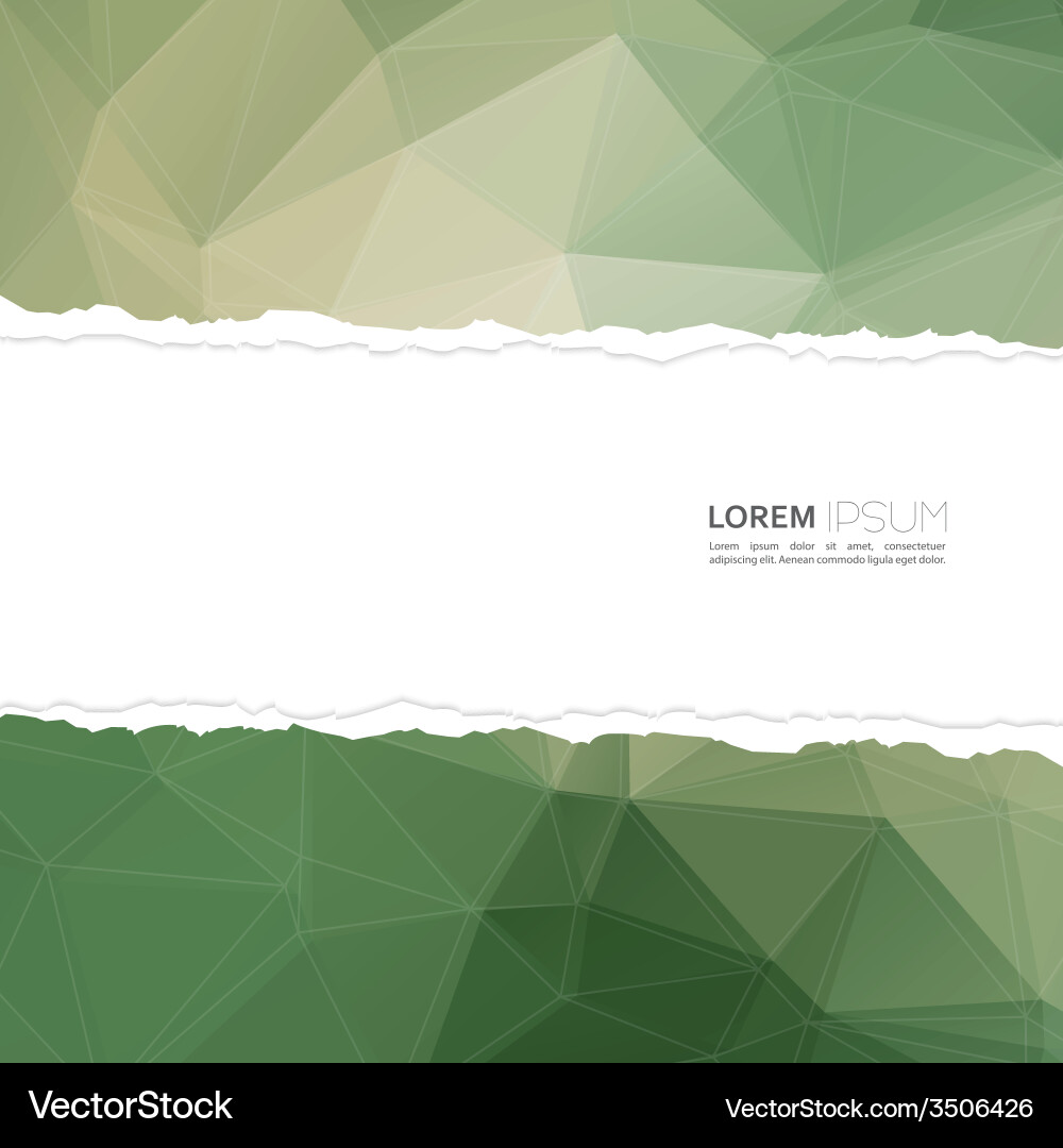 Torn paper with triangles and polygon mesh vector image