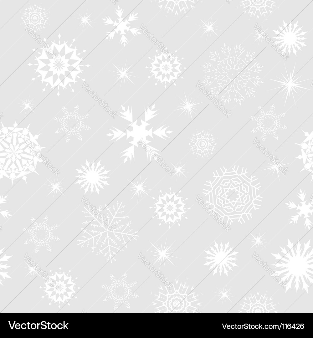 Winter Snowflake Pattern vector image