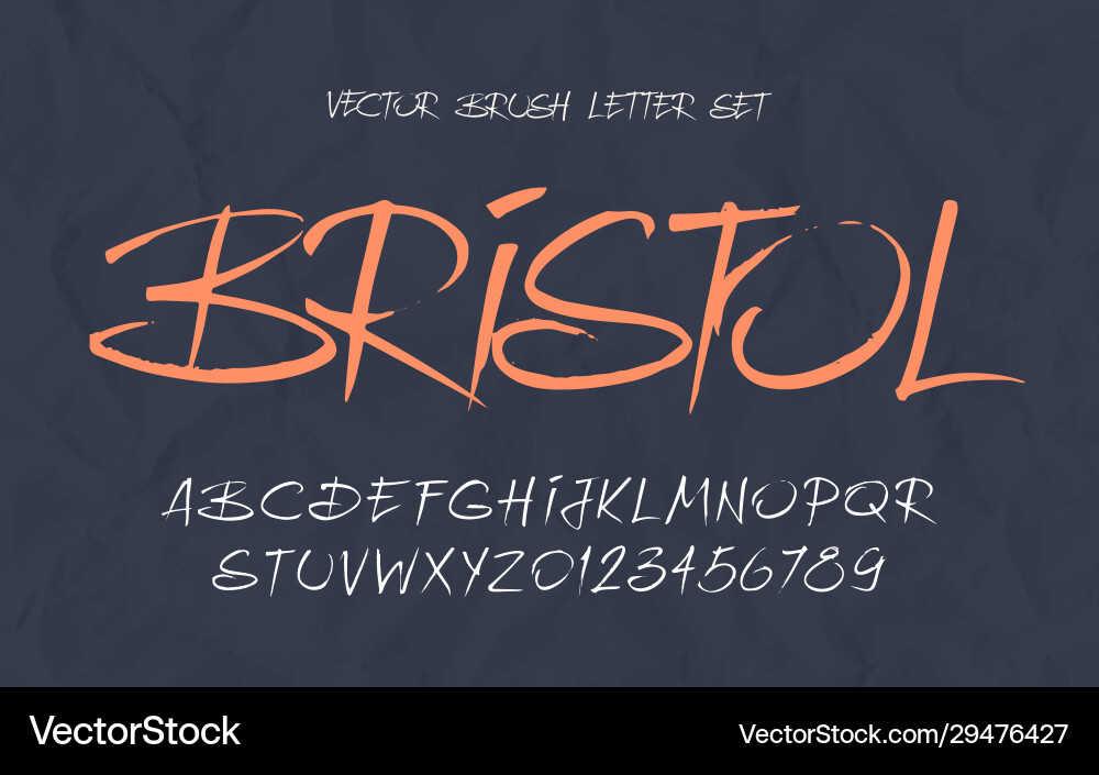 Expressive Calligraphic Brush Script vector image