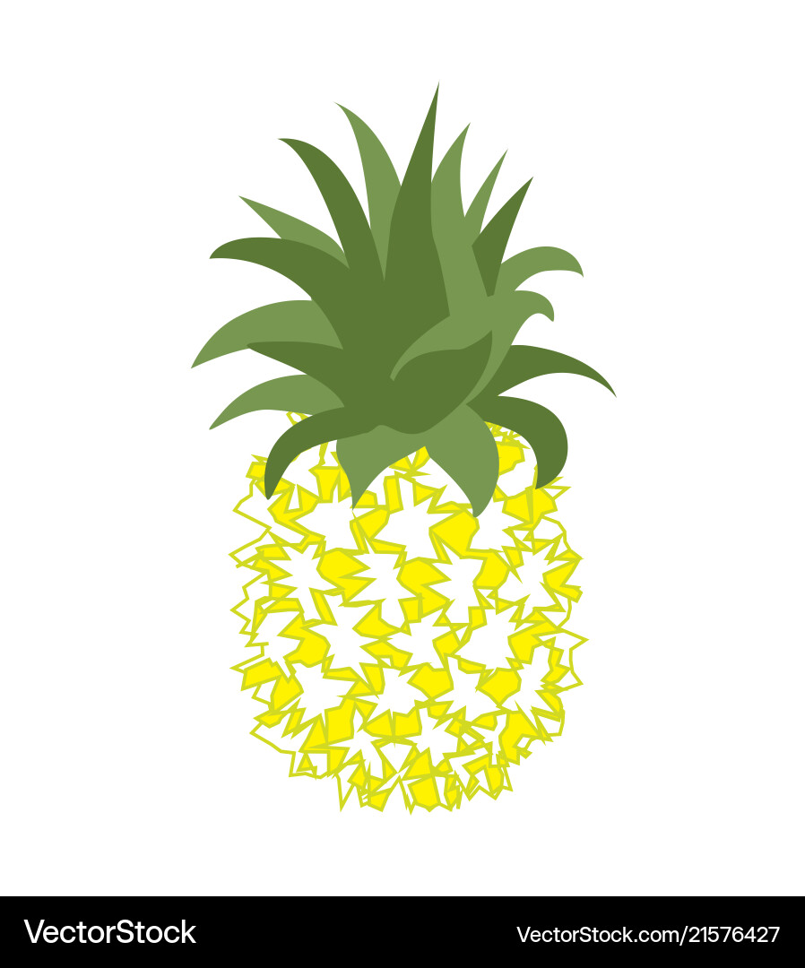 Tropical fruit pineapple Royalty Free Vector Image