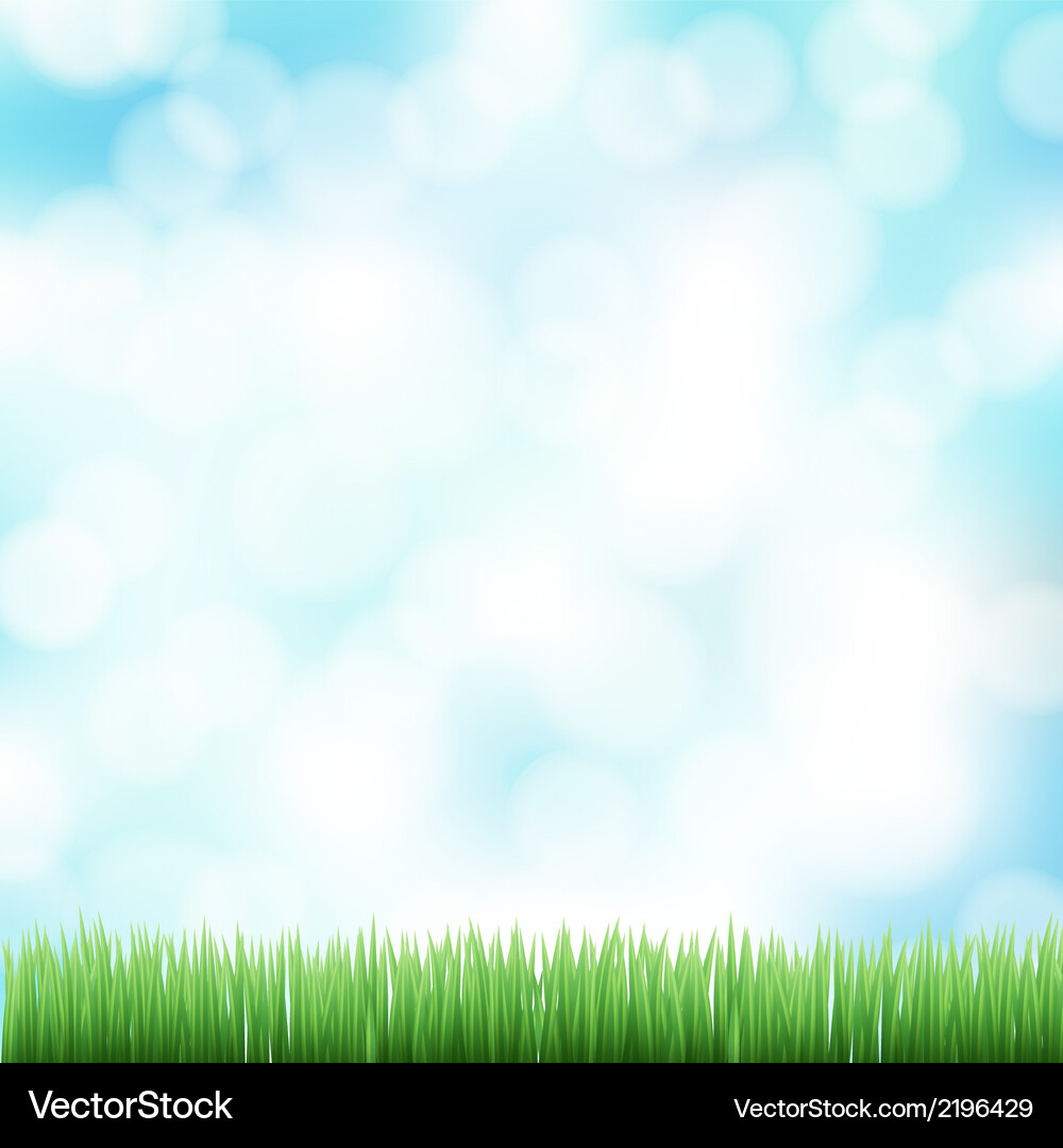 Spring Bokeh Grass Background Vector Image