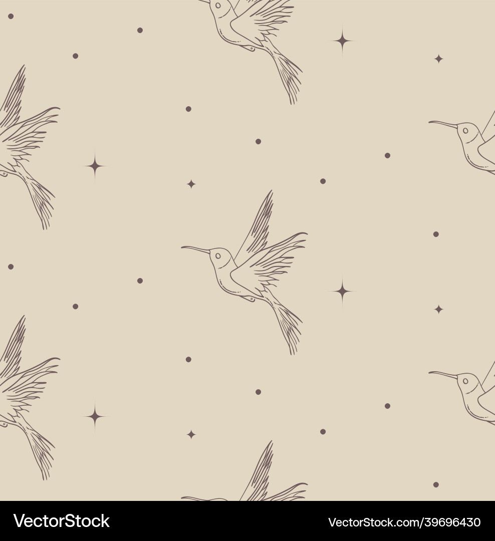 Abstract background seamless pattern color bird vector image