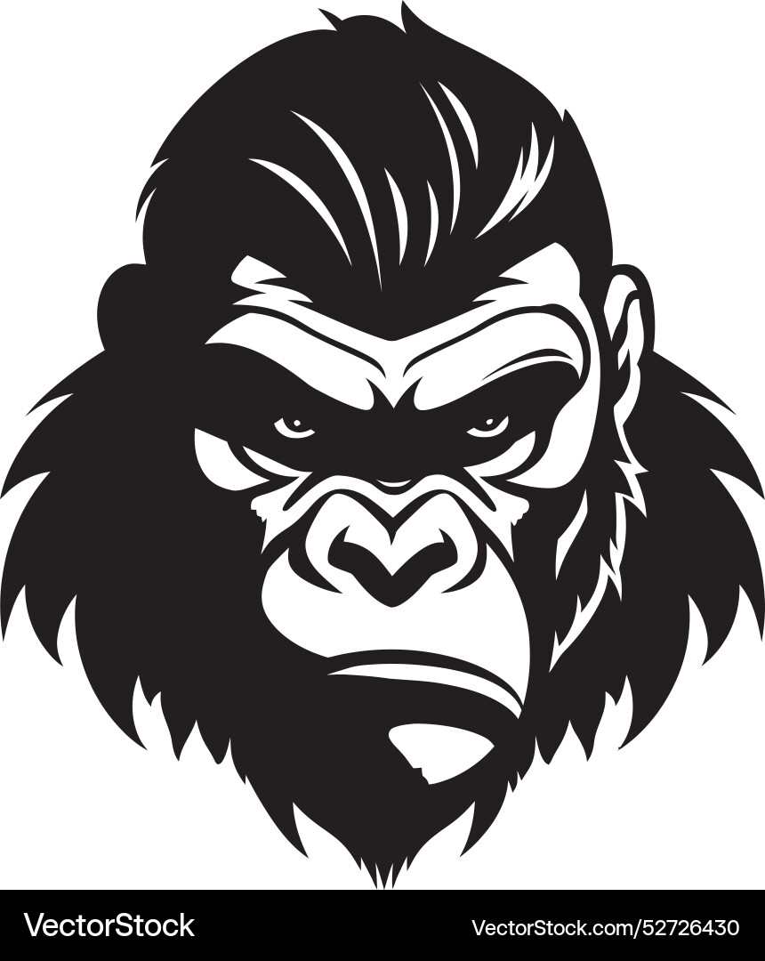 gorilla-conflict-resolution-lessons-for-human-vector-image