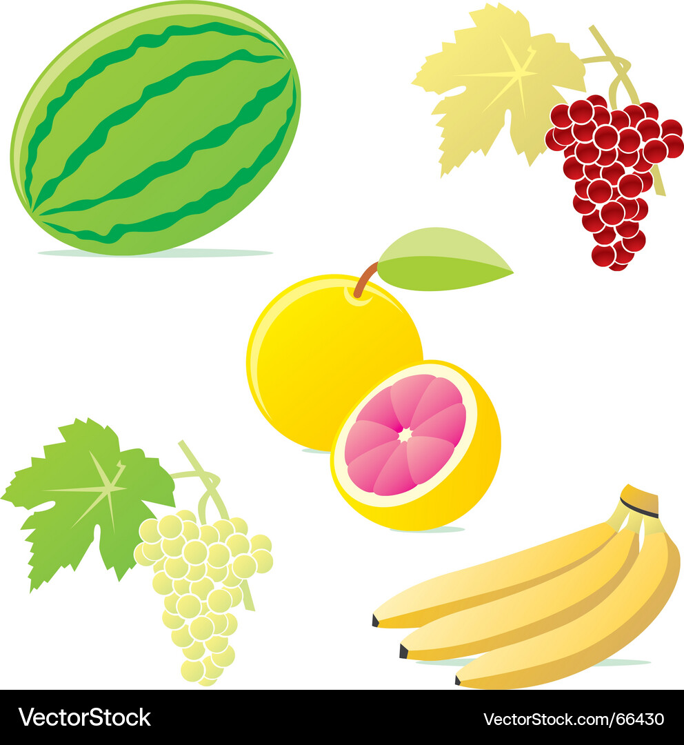 Isolated Grapes on White Background Vector Image