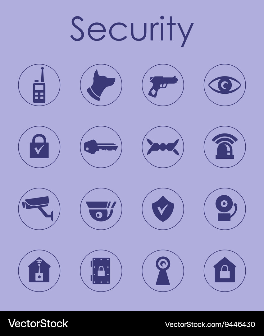 Set of security simple icons Vector Image