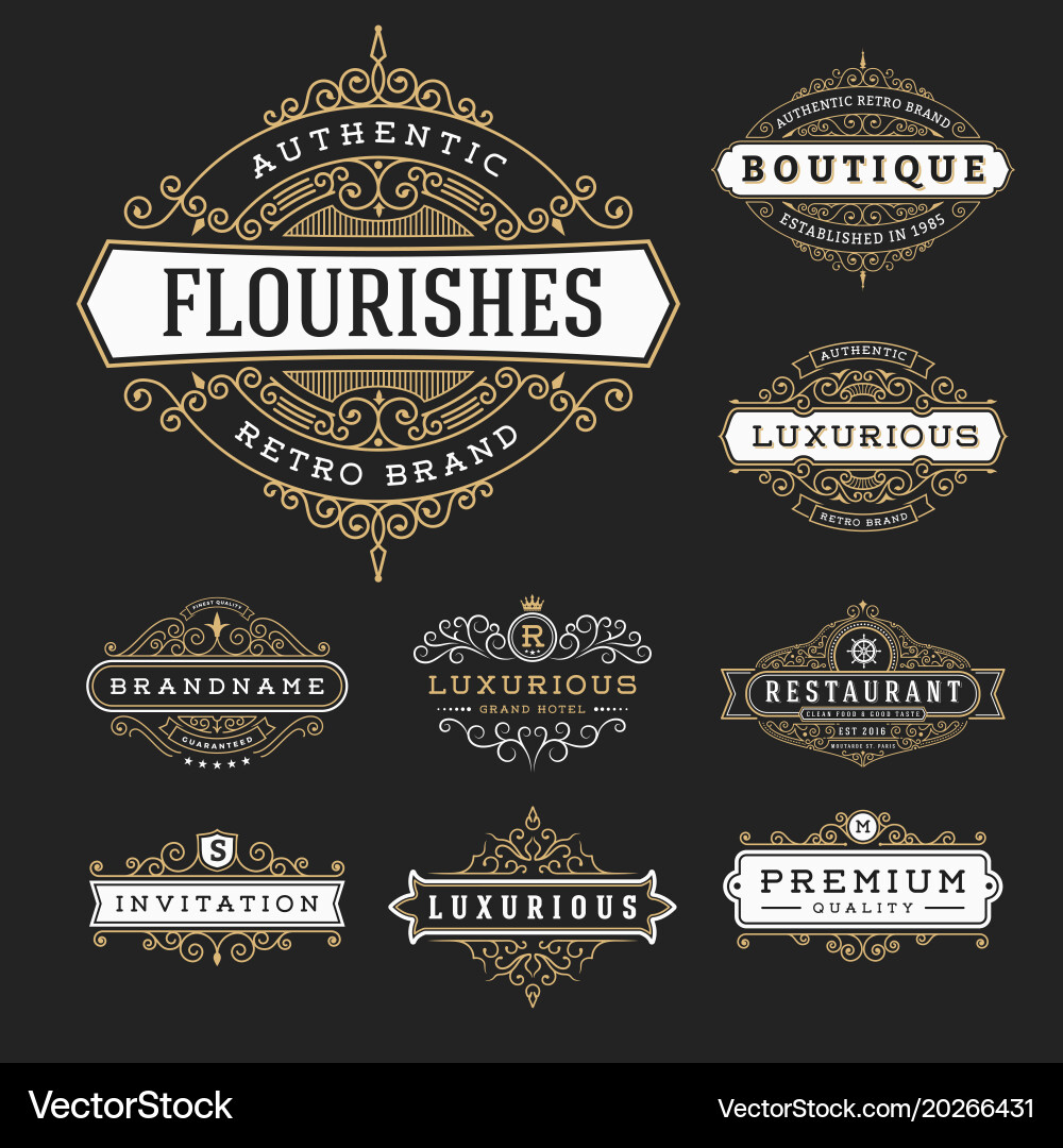 Elegant Flourish Frame Set vector image