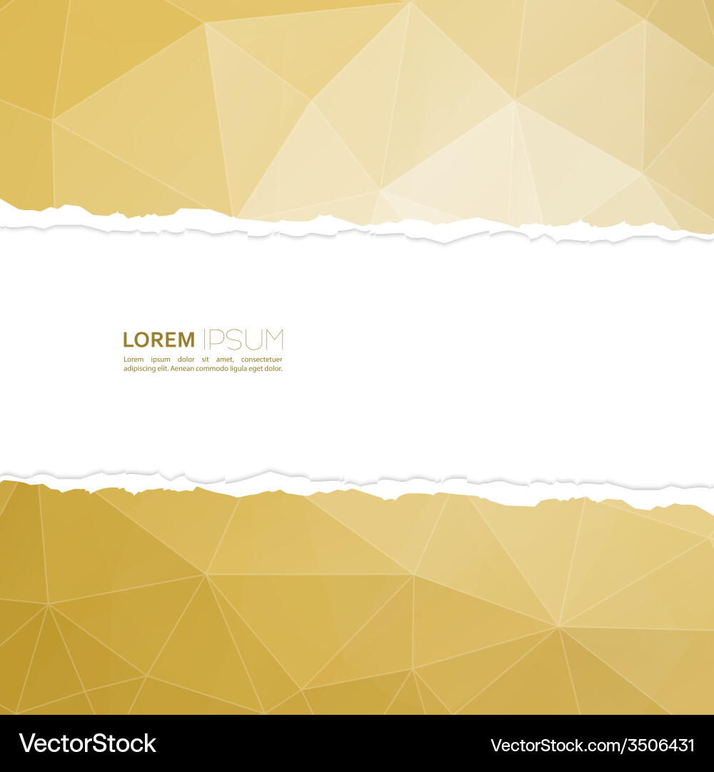 Torn paper with triangles and polygon mesh vector image