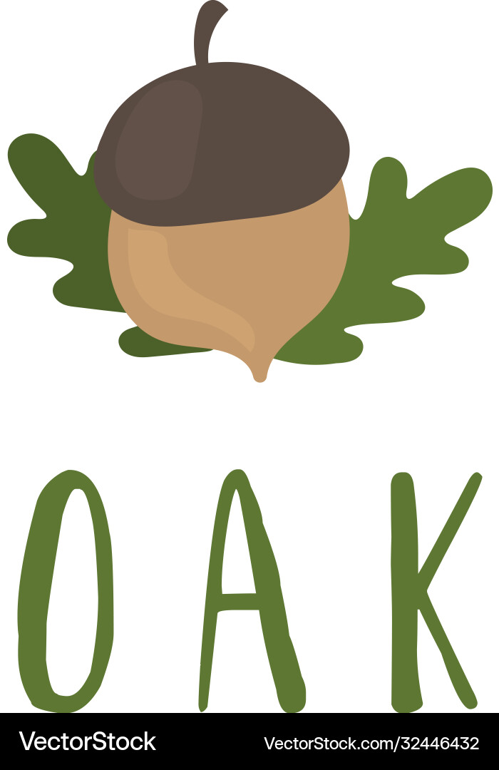 Template logo design with oak tree and acorn vector image