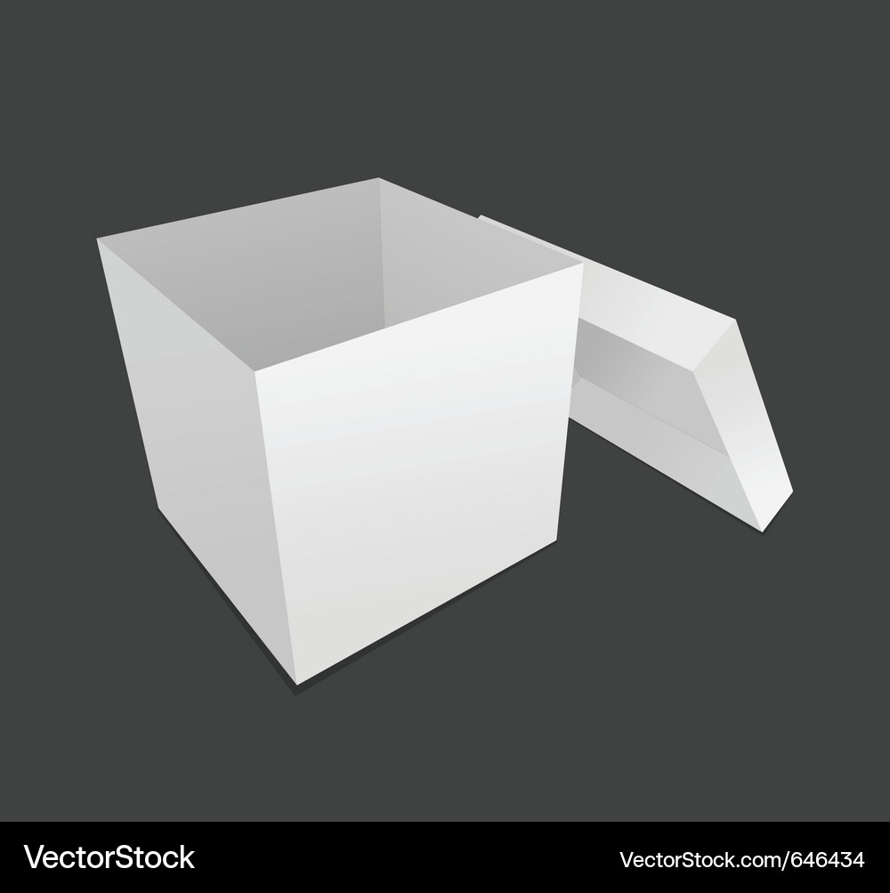 Empty box Vector Image