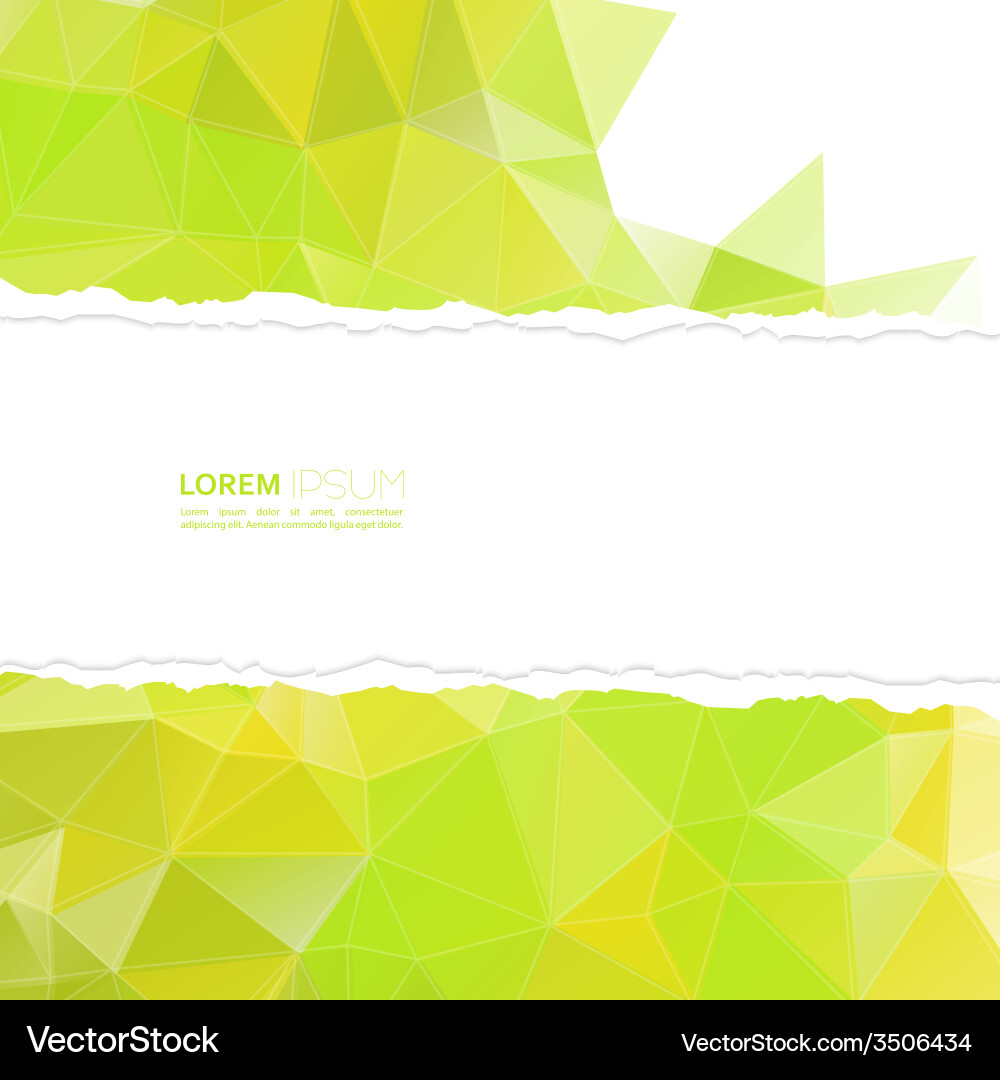 Torn paper with triangles and polygon mesh Vector Image