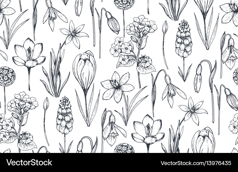 Hand Drawn Spring Flowers Pattern Royalty Free Vector Image